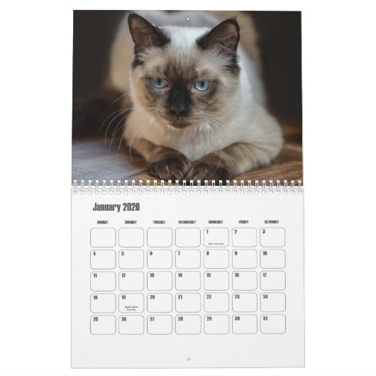 Ragdoll Cat Calendar Kalender (Jan 2026)