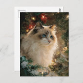 Ragdoll Cat Christmas Postkarte (Vorne/Hinten)