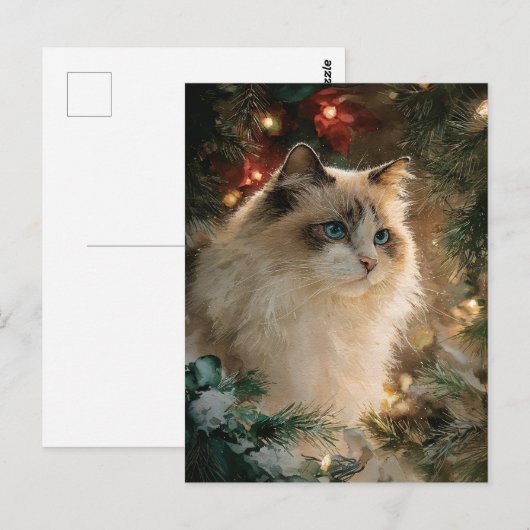 Ragdoll Cat Christmas Postkarte (Vorne/Hinten)
