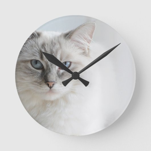 ragdoll cat clock runde wanduhr (Vorderseite)