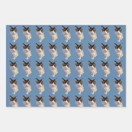 Ragdoll cat, Dusty Blue Geschenkpapier Set (Vorderseite)