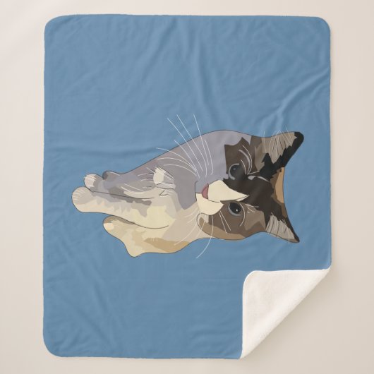 Ragdoll cat, Dusty Blue Sherpadecke (Vorderseite)