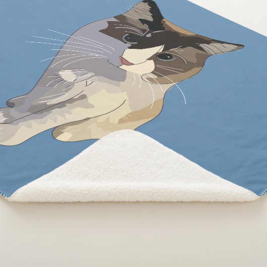 Ragdoll cat, Dusty Blue Sherpadecke (3/4)