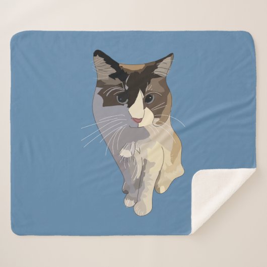 Ragdoll cat, Dusty Blue Sherpadecke (Vorderseite (Horizontal))