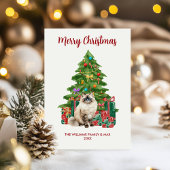 Ragdoll Cat Family Christmas Feiertagskarte