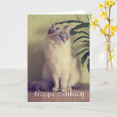 Ragdoll Cat Grußkarte Karte (Gelbe Blume)