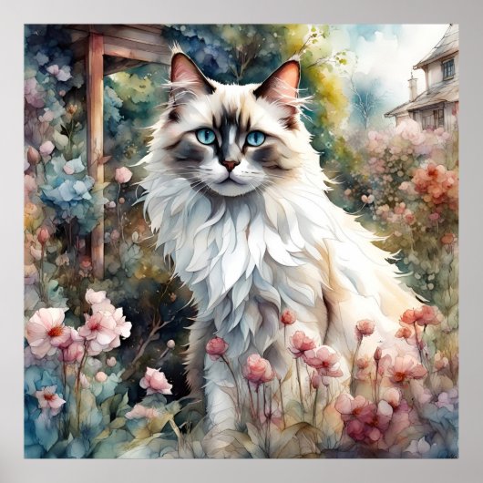 Ragdoll Cat in English Garden Poster (Vorne)