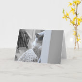 Ragdoll Cat, Karte (Gelbe Blume)