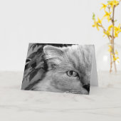 Ragdoll Cat, Karte (Gelbe Blume)