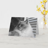 Ragdoll Cat Karte (Gelbe Blume)