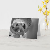 Ragdoll Cat, Karte (Gelbe Blume)