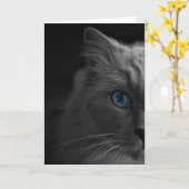 Ragdoll Cat, Karte (Gelbe Blume)