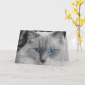 Ragdoll Cat Karte (Gelbe Blume)