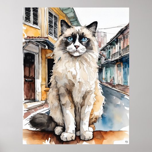 Ragdoll Cat - Katze Art Print Poster (Vorne)