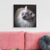 Ragdoll Cat Leinwand - Millie Blue Eyes (Insitu (Wohnzimmer))