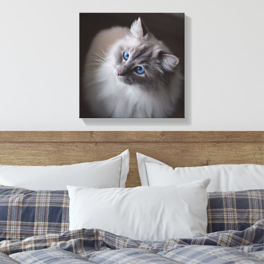 Ragdoll Cat Leinwand - Millie Blue Eyes (Insitu (Schlafzimmer))