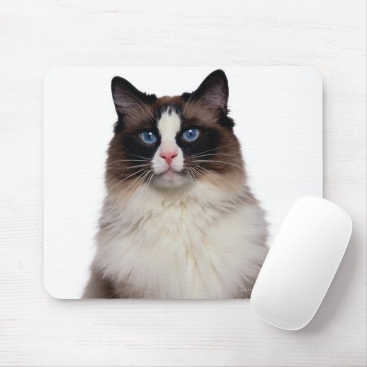 Ragdoll Cat Mousepad (Mit Mouse)