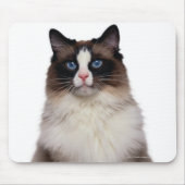 Ragdoll Cat Mousepad (Vorne)