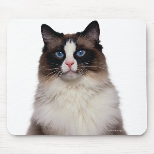 Ragdoll Cat Mousepad (Vorne)