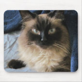 Ragdoll Cat Mousepad (Vorne)
