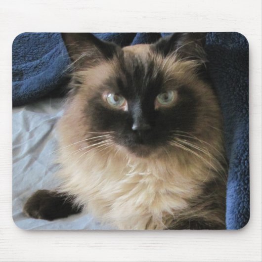 Ragdoll Cat Mousepad (Vorne)