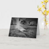 Ragdoll Cat / Noir card Karte (Gelbe Blume)
