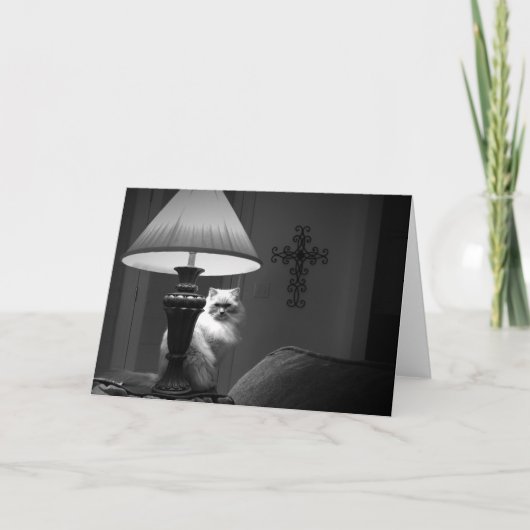 Ragdoll Cat / Noir Karte (Vorderseite)