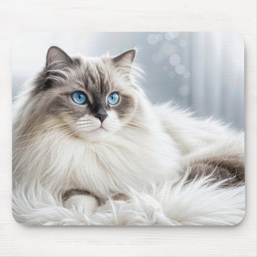 Ragdoll Cat On a Fur Rug Mousepad (Vorne)