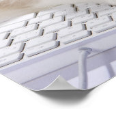 Ragdoll cat on computer keyboard poster (Ecke)