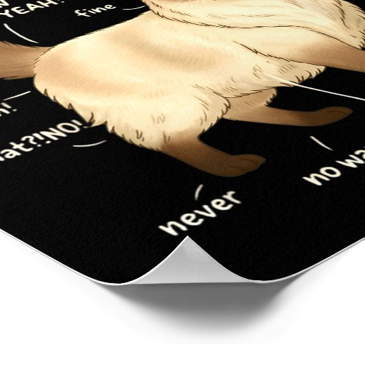 Ragdoll Cat Petting Guide Funny Cat Lover Poster (Ecke)