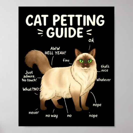 Ragdoll Cat Petting Guide Funny Cat Lover Poster (Vorne)