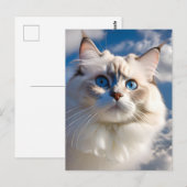 Ragdoll Cat Postcard Postkarte (Vorne/Hinten)