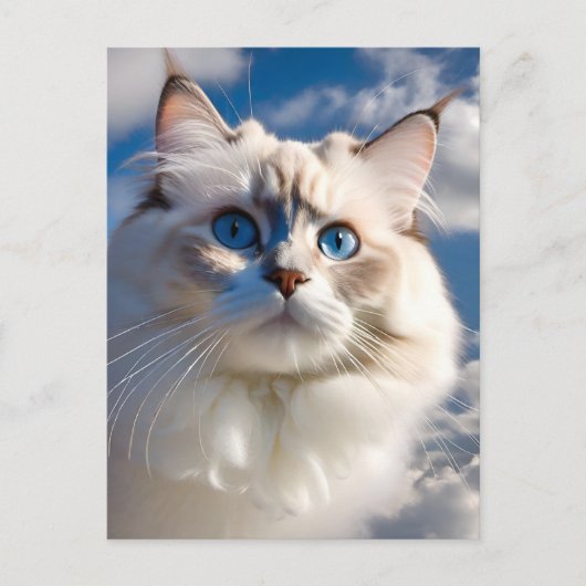 Ragdoll Cat Postcard Postkarte (Vorderseite)
