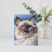 Ragdoll Cat Postcard Postkarte (Stehend Vorderseite)