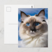 Ragdoll Cat Postcard Postkarte (Vorne/Hinten)