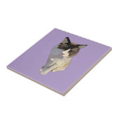 Ragdoll cat, Purple Fliese (Seite)