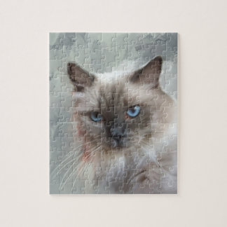 Ragdoll Cat Puzzle