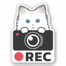 Ragdoll Cat Recording Vinyl Sticker Kamera Warnung