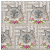 Ragdoll Cat Rose Stoff (Nahaufnahme)