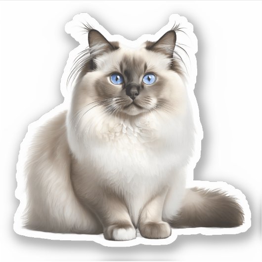 Ragdoll Cat Sticker (Vorderseite)