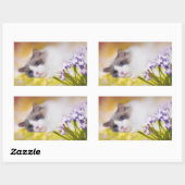 Ragdoll Cat Stickers (Blatt)