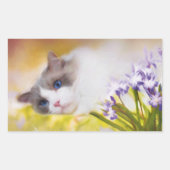 Ragdoll Cat Stickers (Vorderseite)