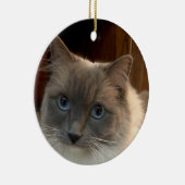 Ragdoll Cat with Blue Eyes can be personalized  Keramik Ornament (Rechts)