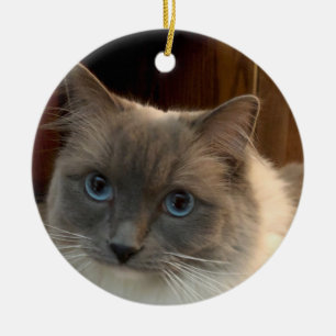 Ragdoll Cat with Blue Eyes can be personalized  Keramik Ornament