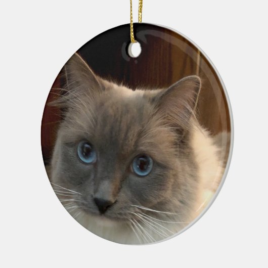 Ragdoll Cat with Blue Eyes can be personalized Keramik Ornament (Links)