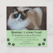 Ragdoll Cattery Customizable Cat Breeder  Quadratische Visitenkarte (Vorderseite)