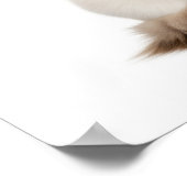 Ragdoll Chat Art Poster (Ecke)