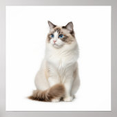 Ragdoll Chat Art Poster (Vorne)