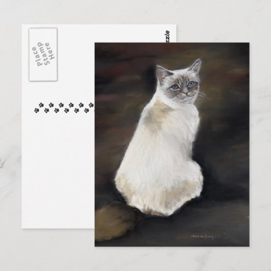 Ragdoll Chat Original Postkarte (Vorne/Hinten)
