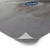 Ragdoll Eyes Poster (Ecke)